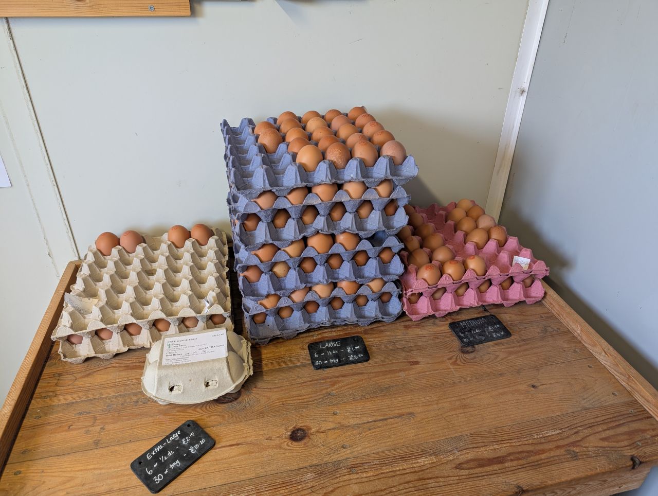 2026-04-12 12 Haddiscoe and Toft Monks.jpg